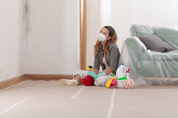 Trusted Mold Remediation service in Fort Lee, VA - Cheap Mold Removal
